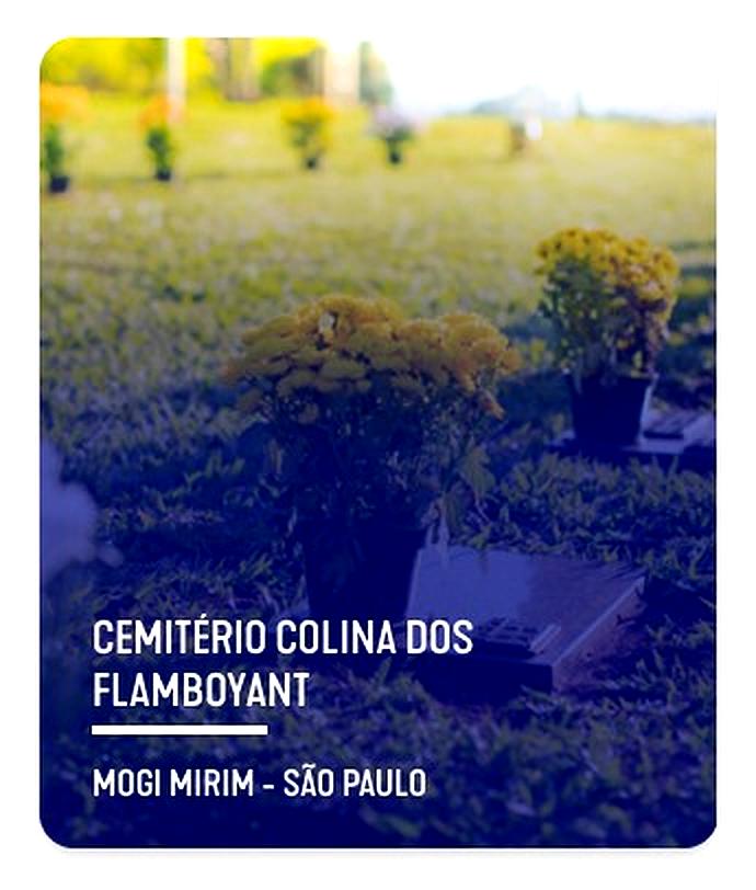MOGI MIRIM SP