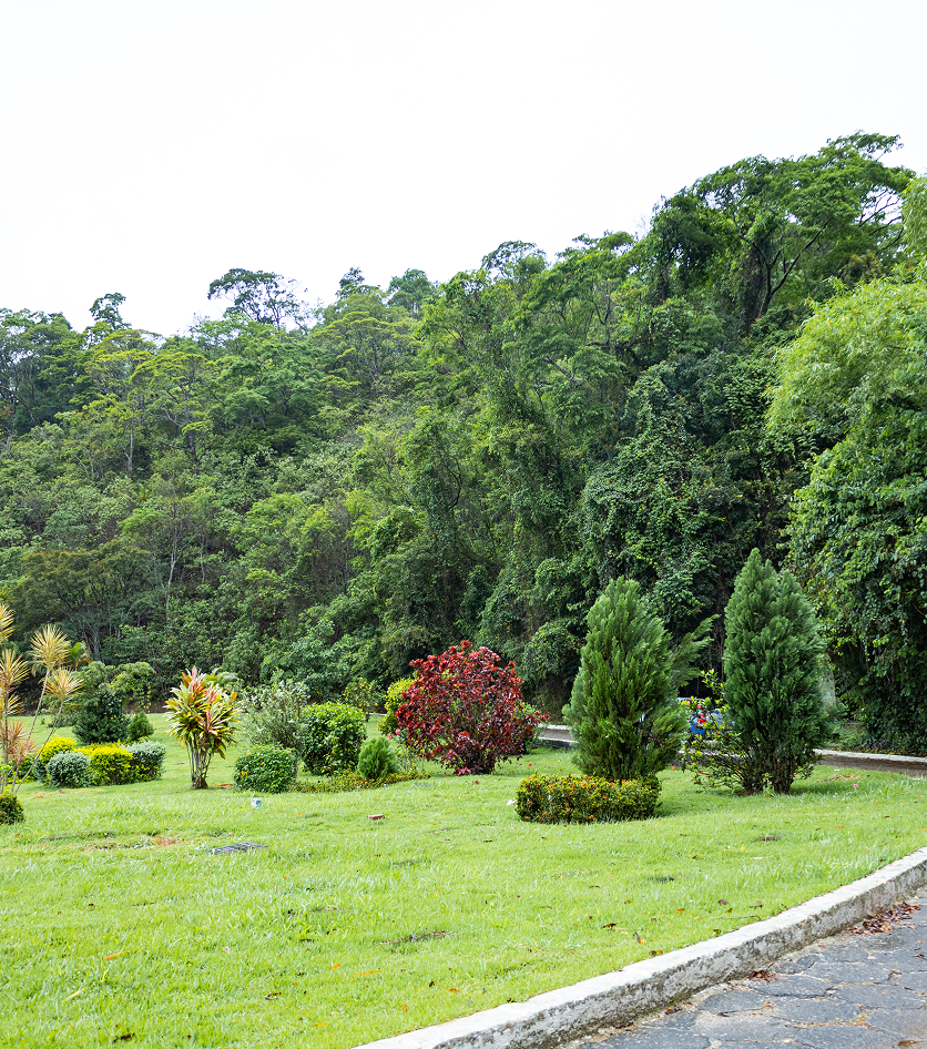 Cemitério e Crematório Parque da Colina - Niterói, RJ
