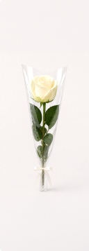 Rosas com cores a sua escolha (branca, vermelha ou amarela)