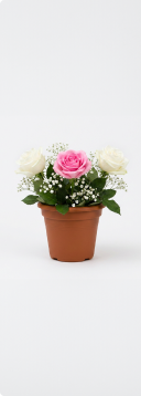 Vasos com flores
